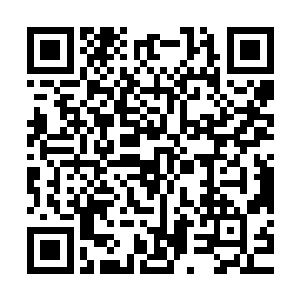 牟晨菲还是很有远见卓识的认定目前家族还没到四处出击的阶段二维码生成