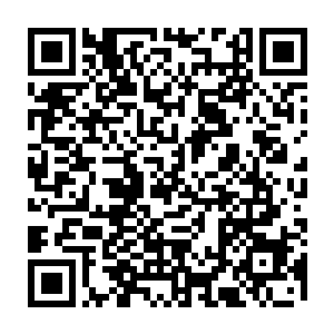 牧千雨和秦杏轩请求大长老通过神梦玉简查找林铭是否参加了这第一会武二维码生成