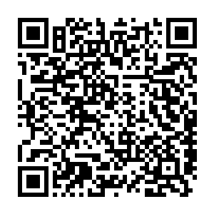特别是在艾林的戒指和维娜丝脖子下面的五彩项链上停留了一段时间二维码生成