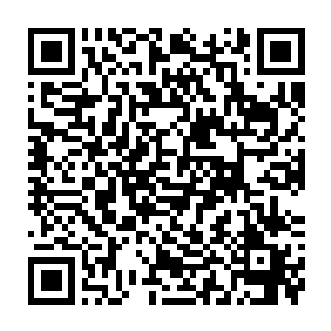 特别是当他看到楼道阴暗处那两双满是怨毒的眼神死死的盯着自己的时候二维码生成