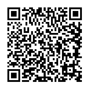 特别是盯着那些铺设在城堡里准备连接着几个蒸汽动力单元的各种管道看了又看二维码生成