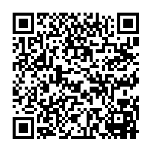 特喵的一个连识海都没有的凡人怎么可能会有凝聚成型的记忆碎片二维码生成