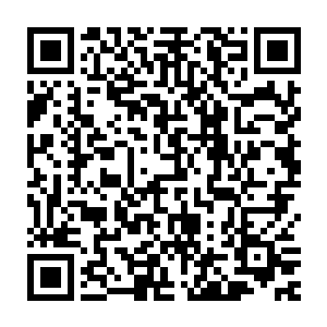 特殊现象研究办公室大概现在已经在迫不及待的研究自己的血液了吧二维码生成
