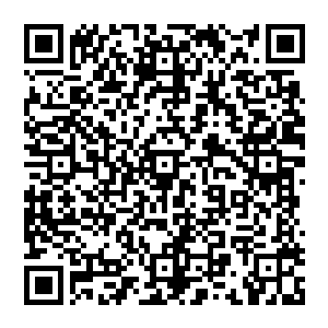 犬子他们……他们…大抵…是在华阳王爷出征之后……才出的城门……陛下那时候早已回宫了二维码生成