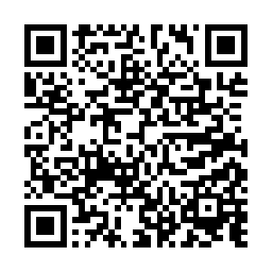 犯人的每一个脏器都呈现出程度不同的弥漫性血管内凝血二维码生成
