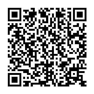 犹如一条发狂的猛虎在半空中与剑尘八人的气势狠狠的撞击在一起二维码生成