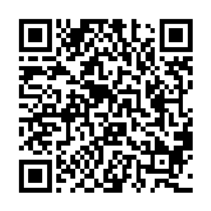 犹如一条弯曲拱动的毒蛇般再次出现在了陈诚的面前二维码生成