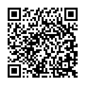 犹记得以前就是在无极掌教和三朝门门主以及叶海身上见过二维码生成
