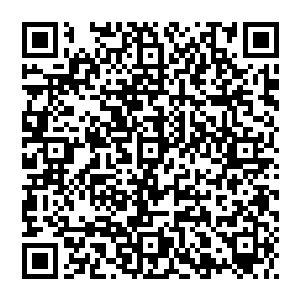 犼尊之下 有着一朵青莲 它根基扎根在气海当中 犼尊坐落在三片莲叶之上 无时无刻的接受着莲叶的强化二维码生成