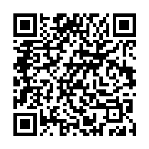 狂傲却冷漠的表情和他身边狰狞的尸体形成了巨大的反差二维码生成