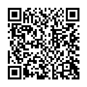 狂暴的爪子也是狠狠的与秦方袭杀而来的龙爪撞击到了一起的二维码生成