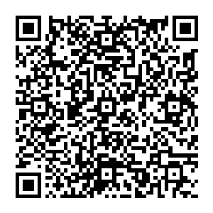 狂风呼啸 在山林中轰轰作响 风清扬倒退一步 目光露出杀意 既然先动手 那必定是不死不休二维码生成