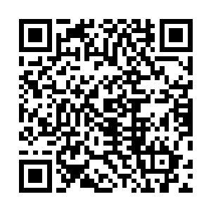 狄安妮又从倒映出脸庞的窗户上看了一眼自己姣好的五官二维码生成