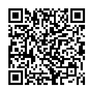 狐狼佣兵团肯定也不会为了他们和雄狮佣兵团大动干戈的二维码生成