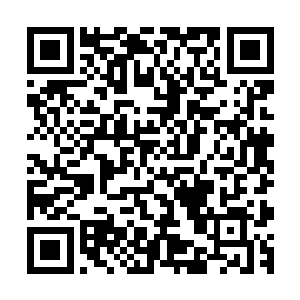 狗哥实在是不忍心看到自己的同胞和其他的动物被残忍地宰杀二维码生成