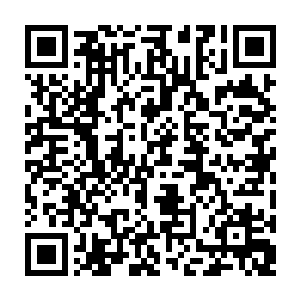 狠狠地轰击在了那由天堂界护界法阵反击力量所凝聚而成的能量狂潮之上二维码生成