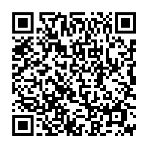 狠狠的斩落在王小虎体外的环形盾牌和刘梦体外的环形火焰护盾之上二维码生成