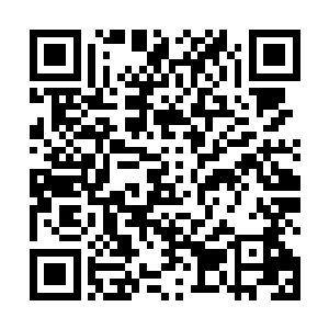 狡黠与纯真等多种矛盾气质杂糅在一起的表演至关重要二维码生成