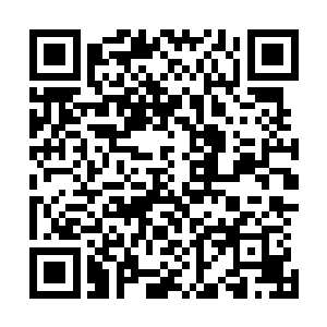 独孤世家以及唯我宗组成的主力攻坚部队已经按队列分布好二维码生成