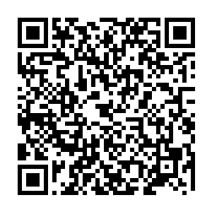 独孤夜一句话硬生生的让半只脚已经迈出房门的白衣一溜烟似的又跑了回来二维码生成