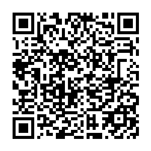 独孤夜云淡风轻的用修长的手指拂去了冷寒烟丢过来的香草上含着的尘土二维码生成