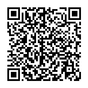 独自一个人在复杂的洞穴群中或者丛林里面对一整支训练有素的队伍的追捕二维码生成