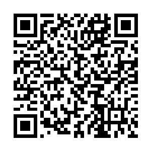 狰狞可怖的力量从血傀和敖烈的宇宙之眼中幅散出去二维码生成