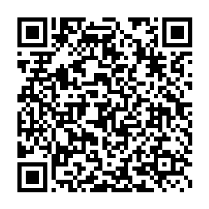 狼人斯科特突然发现仿生神经传导系统反馈回来的反震力数据异常二维码生成