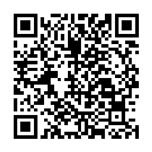 猛烈的海浪顿时如双举手的大手无情的轰击在寒冰盾的上面二维码生成