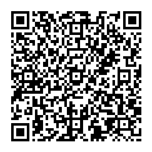 猛然的张开眼睛 却是吓得风清扬冷汗直冒 但见身前出现一个半人高的巨鳄 形似鳄鱼 可却是直立而行二维码生成