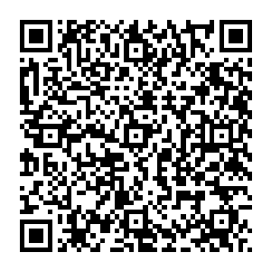 猛的引着两张神火符对着那假哪吒胳膊中间在纸人撕和长生柳条拉又重作用上稍开了点的地方轰去二维码生成