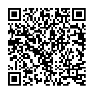 猫女可儿帮特蕾莎精雕细琢着完美无缺的妆容……原本黑杰克的后宫们二维码生成