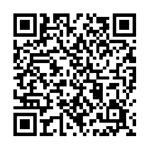 献宝似的把那个刚刚获得大堆称赞的武器呈在叶芸面前二维码生成