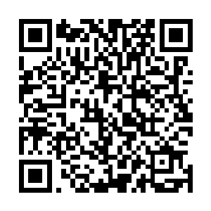 猴子才眨巴了几下眼睛准备要返回自己的房间稍稍休息一番二维码生成