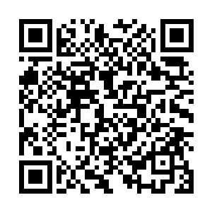 猴子都不由得仰起头微微紧了紧手中的金箍棒准备再战二维码生成