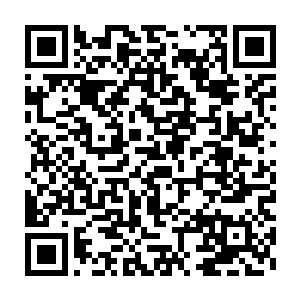 玄九玥和叶青突然明白为什么无敌神队可以在一次次的战斗中胜利二维码生成