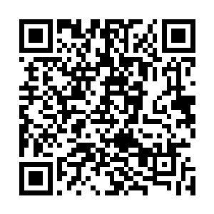 玄九玥忍住拽起夜染衣领询问这和一条路有什么不同的冲动二维码生成