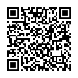 玄武的力量和防御更是已经暴涨到了一个可怕的程度二维码生成