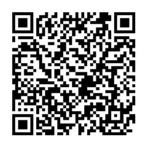 玄青青的速度也是得到了大幅度的提升根本就无法捕捉到玄青青的身形二维码生成