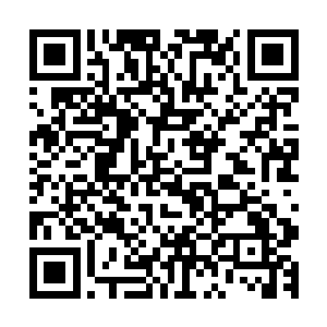率领了那位大圣仙皇所辖的大千神界数万大乘期和虚仙期弟子二维码生成