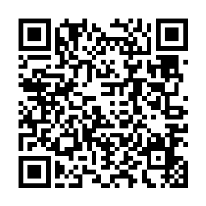 率领起屠苍军将敢于猎杀兵族的人和势力统统屠杀灭绝二维码生成