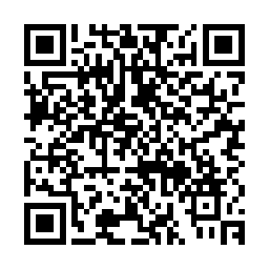 玉白的凤凰琴在仿佛带着淡淡墨香的指下流淌出空灵悠然的琴音二维码生成
