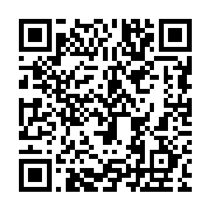 玉简内另外存储的上千种飞星界常见法宝的结构图和灵能运行图二维码生成