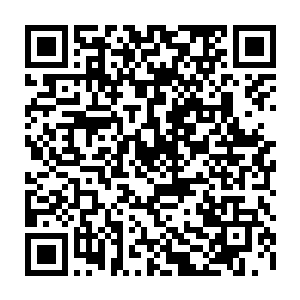 王世子也终于可以主动跟家里两个老人家主动谈起关于生儿生女的都一样的问题二维码生成