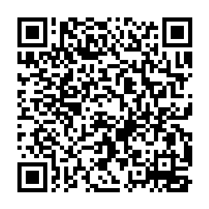 王世子可没想到他无意中的吐槽会让自己的保镖升起如此多的感慨二维码生成