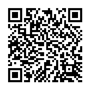王世子在讲演上的发言似乎的确对这些富豪们挺有杀伤力的二维码生成