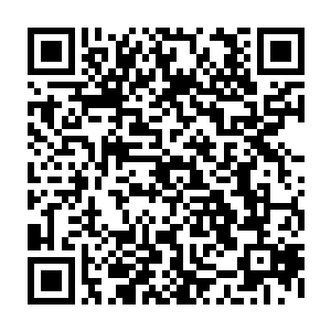 王世子已经做出了承诺全民来编程软件将免费提供给所有世子系统的用户使用二维码生成