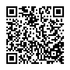 王主级墨巢意志所化的空间可以拒绝域主级墨巢意志进入二维码生成