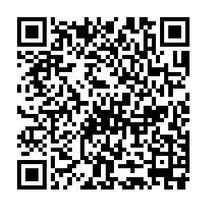 王九九的父母王红潮和张仪伊在这件事情上反而没有什么说话的机会二维码生成