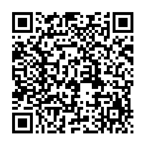 王伦哥哥没打算让俺们带兵……莫不是打算让俺们以后改行当文官二维码生成